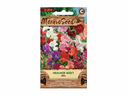 151863 hrachor vonny pnouci nizky smes 02318