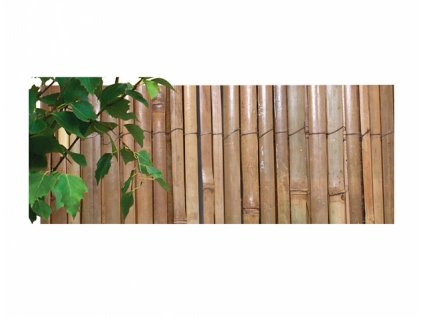 162453 rohoz ze stipaneho bambusu 1 5x5m