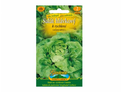 193713 salat hlavkovy k rychleni