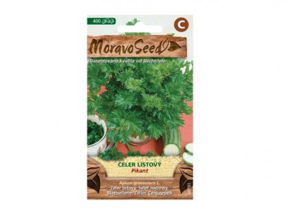 213771 celer listovy pikant dostup