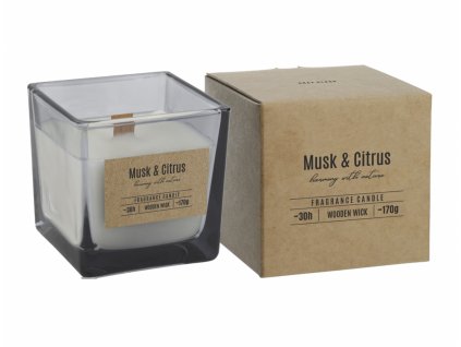 240684 svicka ve skle musk citrus vonna 170g