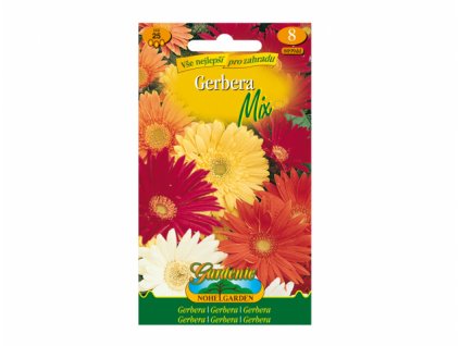 257676 1 gerbera smes