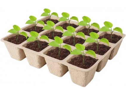 315060 sadbovac papirovy 21x17x5 cm bal 5 ks