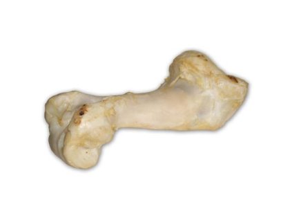 347692 hovezi kost bila extrudovana 1 ks 36 cm