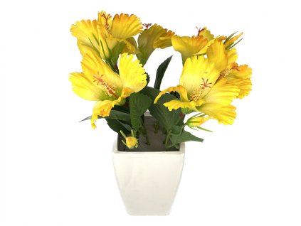 352954 kvetina ibisek v kvetniku 35cm
