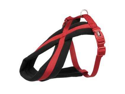 348007 nylonovy postroj premium podsity cervena