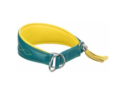 353488 kozeny obojek active comfort pro chrty petrolejova zluta