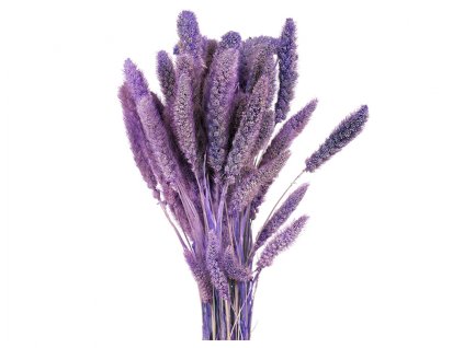 357658 dekorace susiny setaria ber 40g