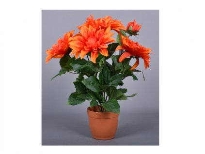 364739 kvetina jirinka podzim x6 aranzma 6 kvetu v kvetniku 42cm