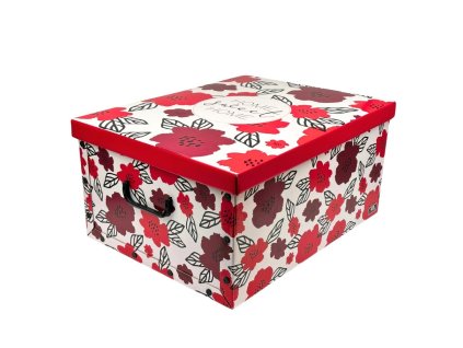 376817 box ulozny s drzadly kvetiny