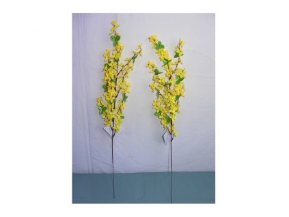 387797 kvetina zlatice jaro 11 kvetu 60cm