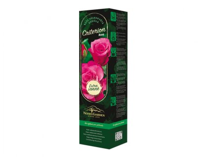 389528 ruze velkokveta kerova fragrant criterion