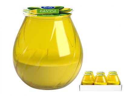 391319 svicka citronella zahradni ve skle d9 3cm