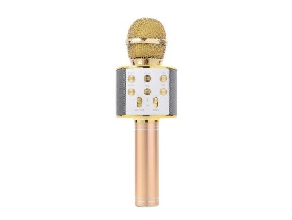 Q17B2 ZLATÝ JEDNODUCHÝ KARAOKE MIKROFON