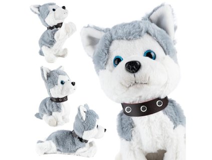 B24D HLASOVĚ OVLÁDANÝ INTERAKTIVNÍ PES