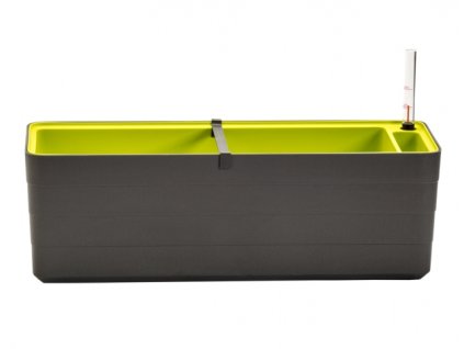 Truhlík samozavlažovací BERBERIS plastový 60x20x20cm