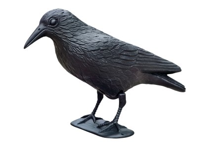 plašič ptactva havran malý