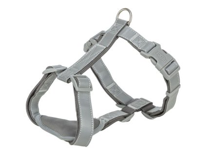 H-postroj PREMIUM Reflect, grafit