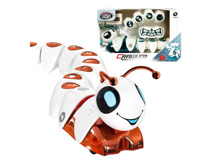 KAT04810 b31h %20(2)