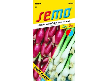 4397 1 cibule jarni smes svazkova zluta cervena 2g serie duo