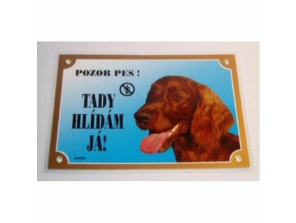 249927 barevna cedulka pozor pes irsky setr