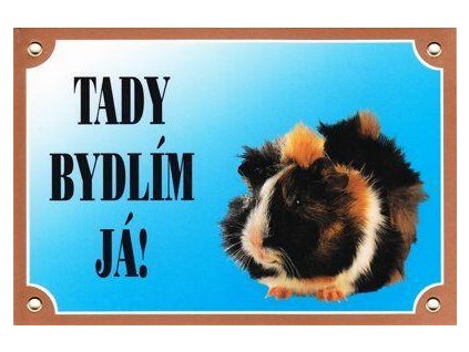 250011 barevna cedulka pozor pes morce