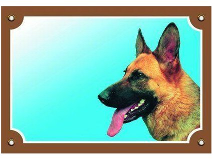 250023 barevna cedulka pozor pes nemecky ovcak profil