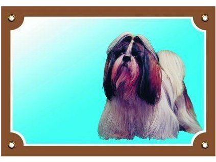 250068 barevna cedulka pozor pes shi tzu