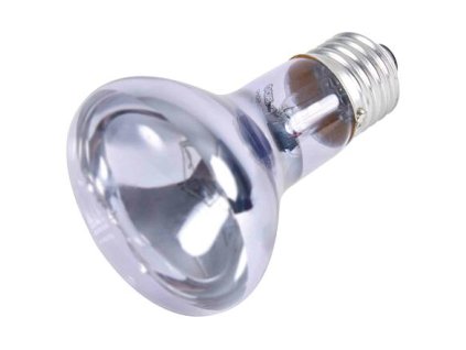240954 neodymium basking spot lamp 50 w rp 2 10 kc