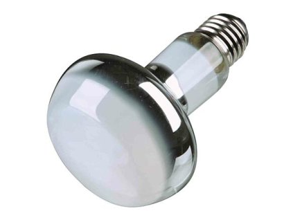 240945 basking spot lamp 100 w rp 2 10 kc