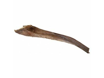 244458 papah wood palmovy list 50 65 cm pro plazy na lezeni 6ks
