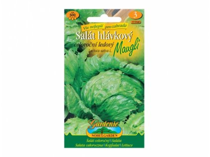 218415 1 salat hlavkovy celorocni ledovy maugli