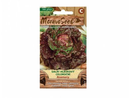 236964 1 salat hlavkovy celorocni rosemarry cerveny 66323
