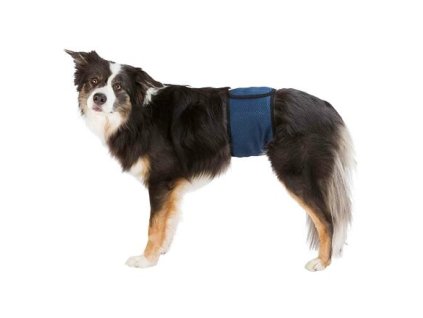 55059 brisni pas na podlozky pro psa samce s 29 37 cm tmave modry