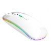 209022 ak211b bezdratova mys rgb bila
