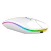 209022 2 ak211b bezdratova mys rgb bila