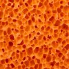 15888 2 hladitko festa houba hruba or 280x140x12