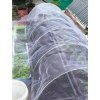 332236 1 garden mesh sit proti hmyzu a ptakum 2 5 x 10 m baleni 1 ks