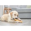 328735 4 chewing cheese zvykaci syrova tyc m 13 5 cm 75 g
