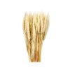 357670 dekorace susiny triticum psenice vousata 40g