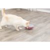 367988 1 cat activity rocking maze houpaci bludiste hra pro kocky 18 cm
