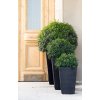 3728 1 keter kvetinac rattan planter m antracit