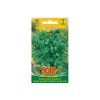 260640 bazalka zelena
