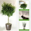 263649 11 plant cover 80x60 ochranny vak na rostliny barva bila