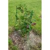 Climber opora pro rostliny délka 150 cm (Výška 60 cm)