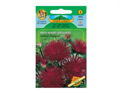 236352 astra cinska vysoka jehlicovita unicum cervena