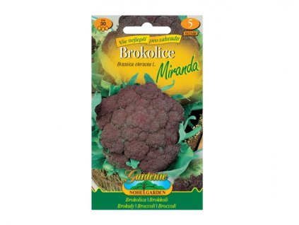 257535 brokolice miranda