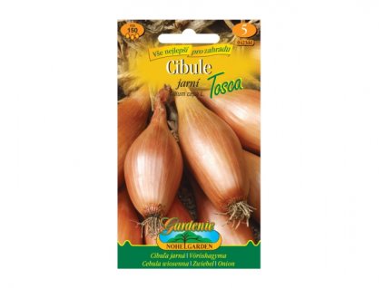 150036 cibule jarni tosca zluta