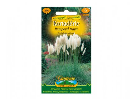 257547 1 cortaderie pampova trava bila