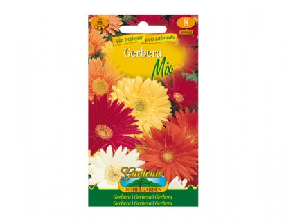 257676 1 gerbera smes